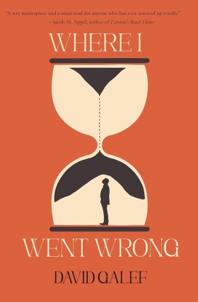 David Galef's 'Where I Went Wrong'