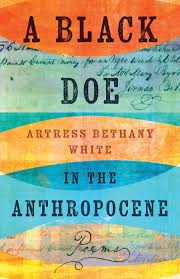 Artress Bethany White's 'A Black Doe in Anthropocene'